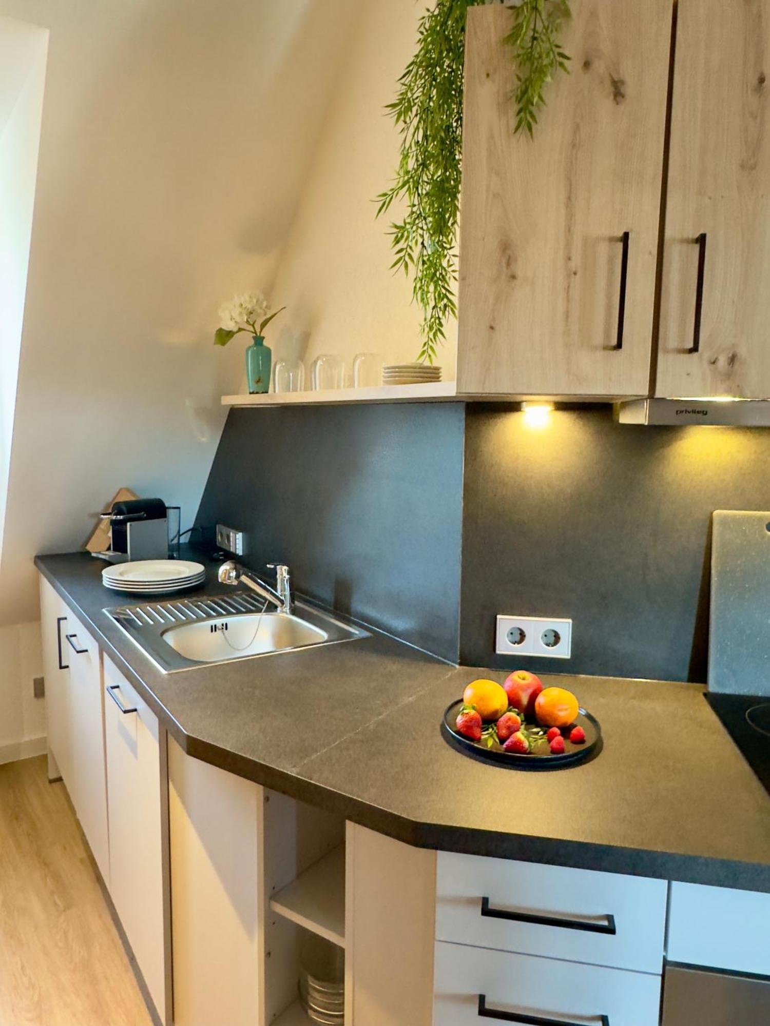 Living & Serviced Apartments By Blauer Wolf Gunzenhausen Buitenkant foto