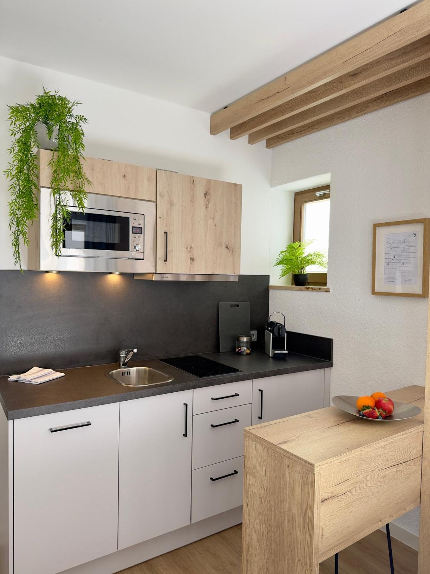 Living & Serviced Apartments By Blauer Wolf Gunzenhausen Buitenkant foto