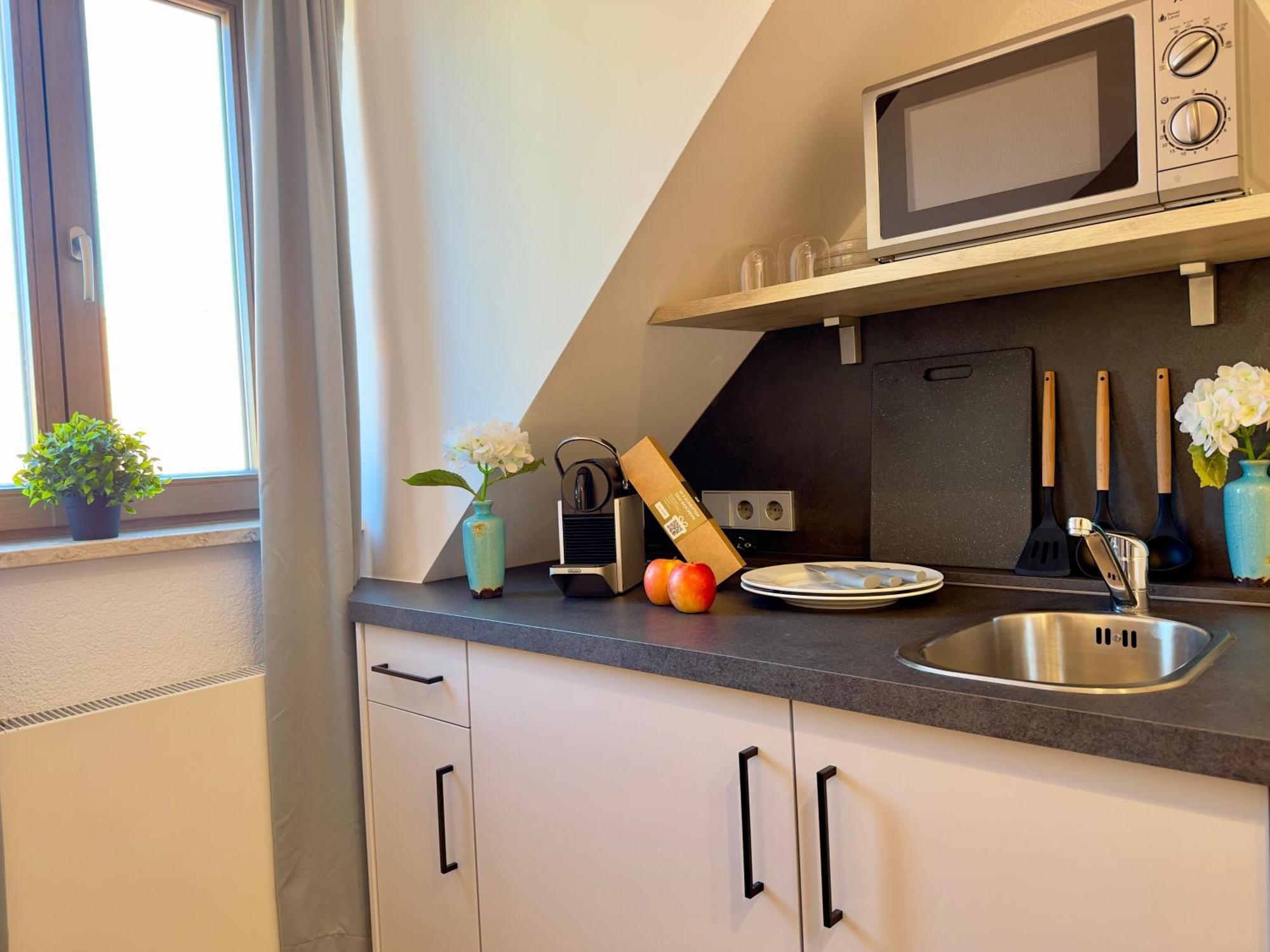 Living & Serviced Apartments By Blauer Wolf Gunzenhausen Buitenkant foto