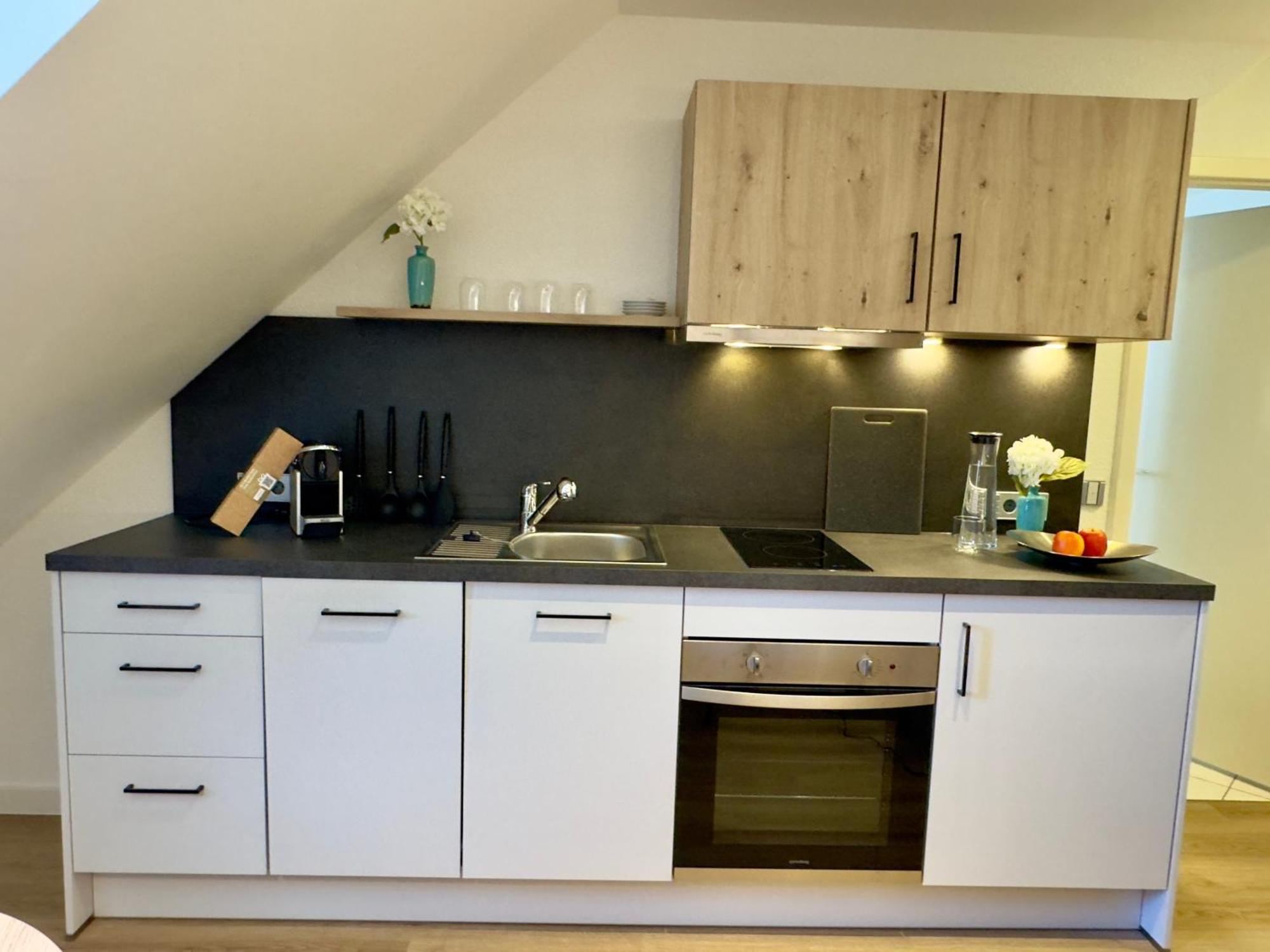 Living & Serviced Apartments By Blauer Wolf Gunzenhausen Buitenkant foto