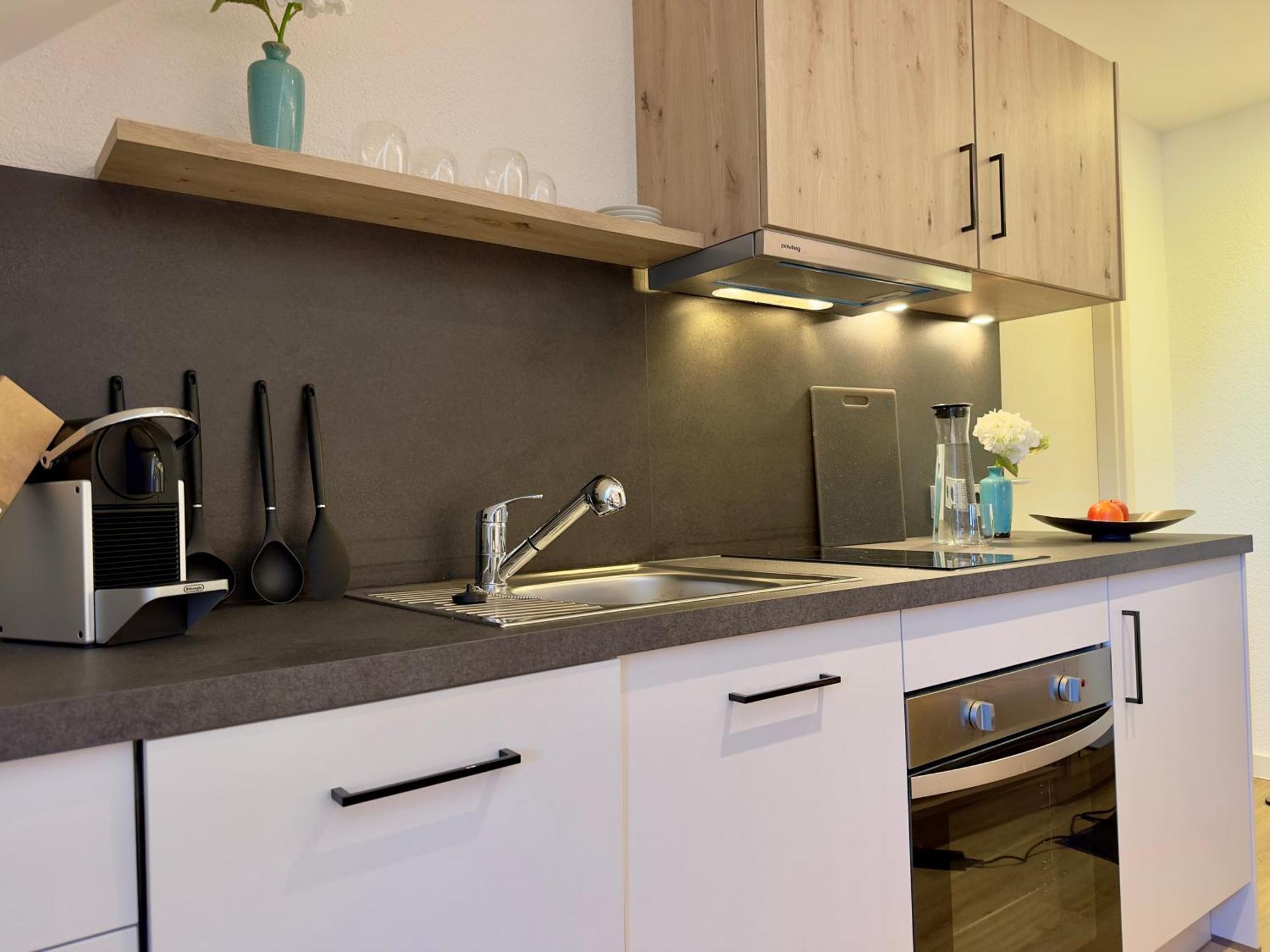 Living & Serviced Apartments By Blauer Wolf Gunzenhausen Buitenkant foto